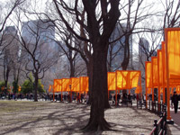 The Gates in Central Park