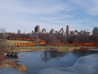The Gates in Central Park - from Belvedere Castle