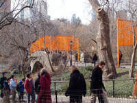 The Gates in Central Park