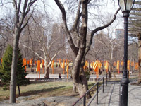 The Gates in Central Park