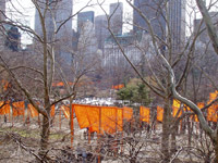 The Gates in Central Park