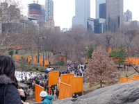 The Gates in Central Park