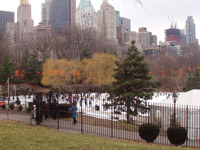 The Gates in Central Park