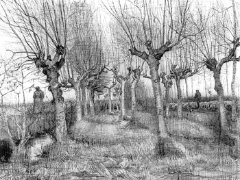 Tree drawing by Van Gogh