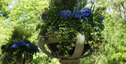 Central Park in Spring