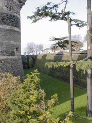 The Castle at Angers
