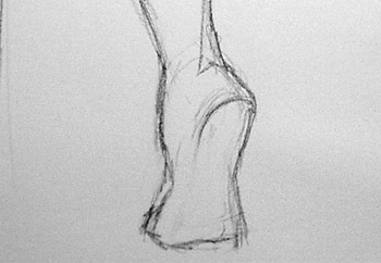 foot closeup