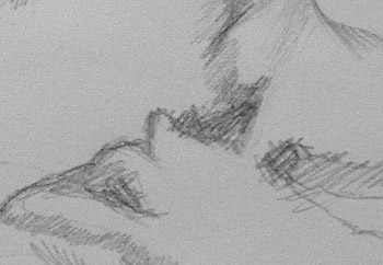 hatching
