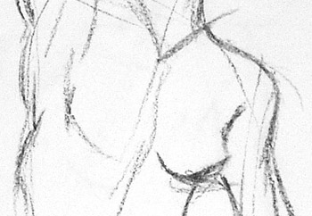 chest closeup
