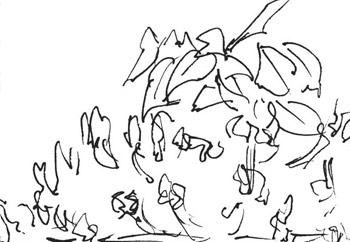 plants closeup
