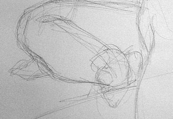 close up leg